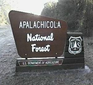 Apalachicola National Forest in Apalachicola Florida