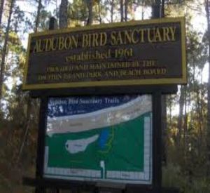 Audubon Sanctuary on Dauphin Island in Gulf Shores Alabama