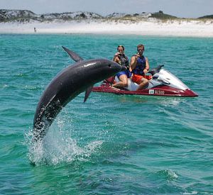 Bay Point Watersports in Panama City Beach Florida