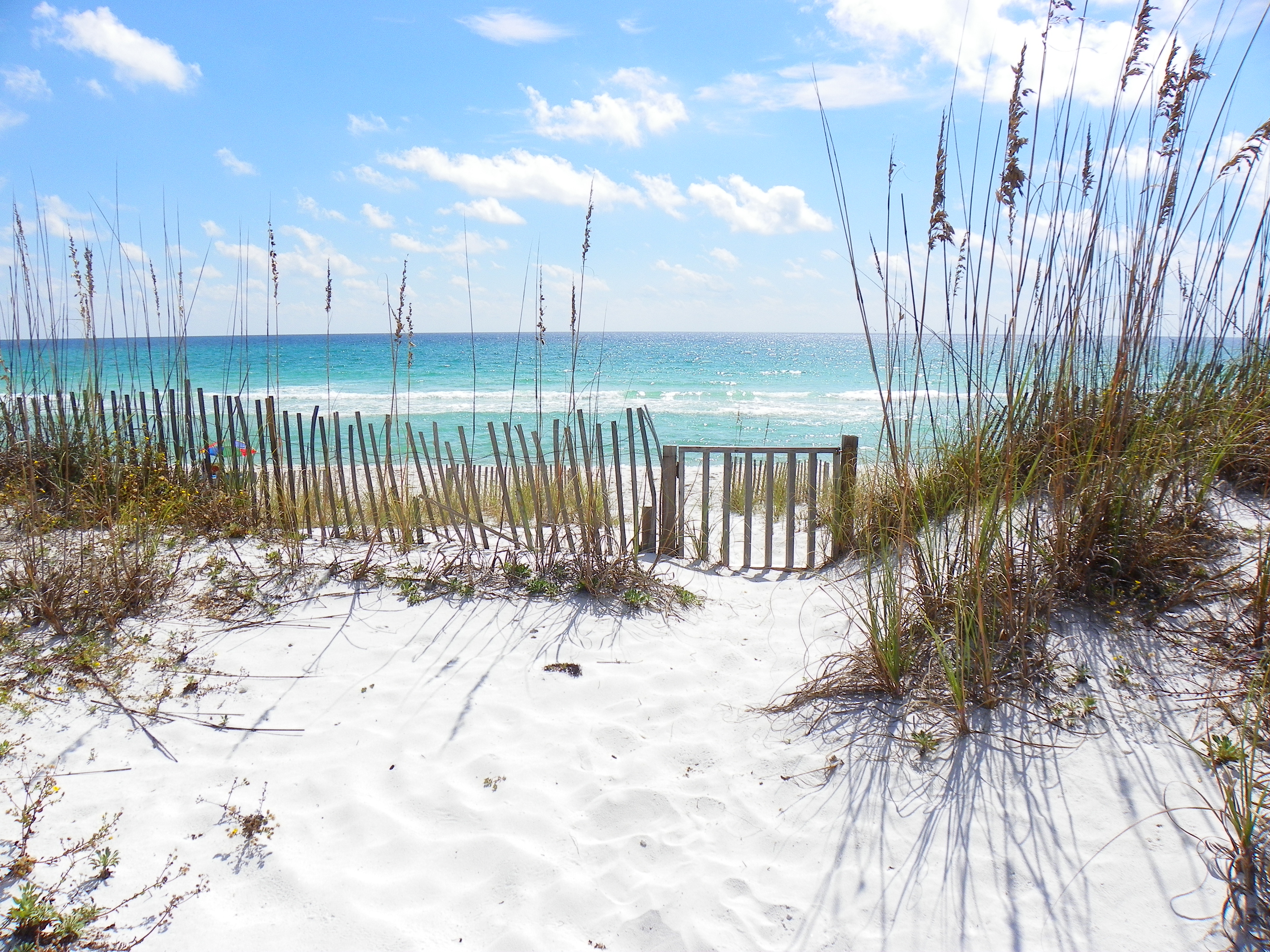 Ariola 711 NEW House / Cottage rental in Pensacola Beach House Rentals in Pensacola Beach Florida - #58