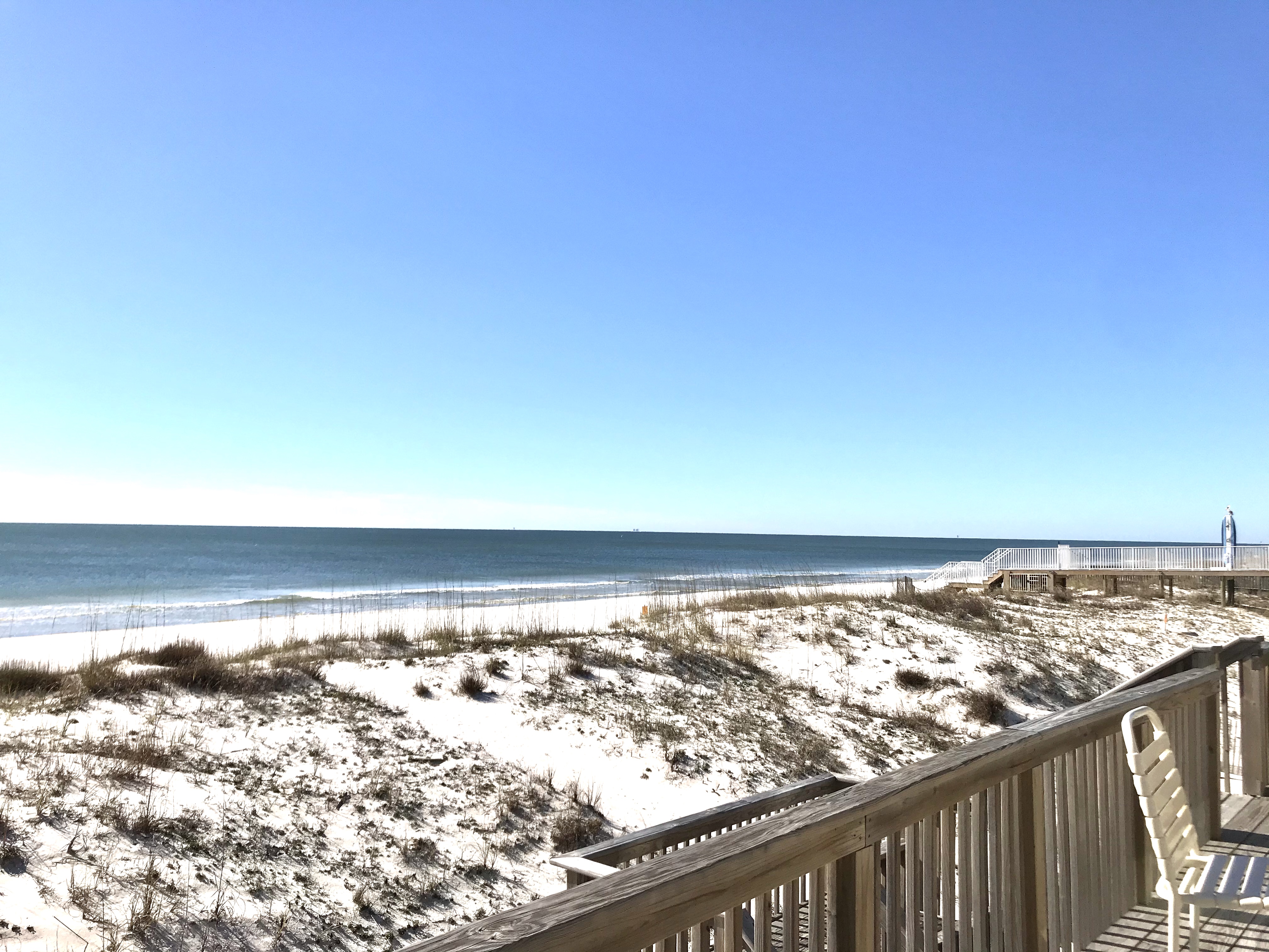 The Cottage House / Cottage rental in Gulf Shores House Rentals in Gulf Shores Alabama - #1