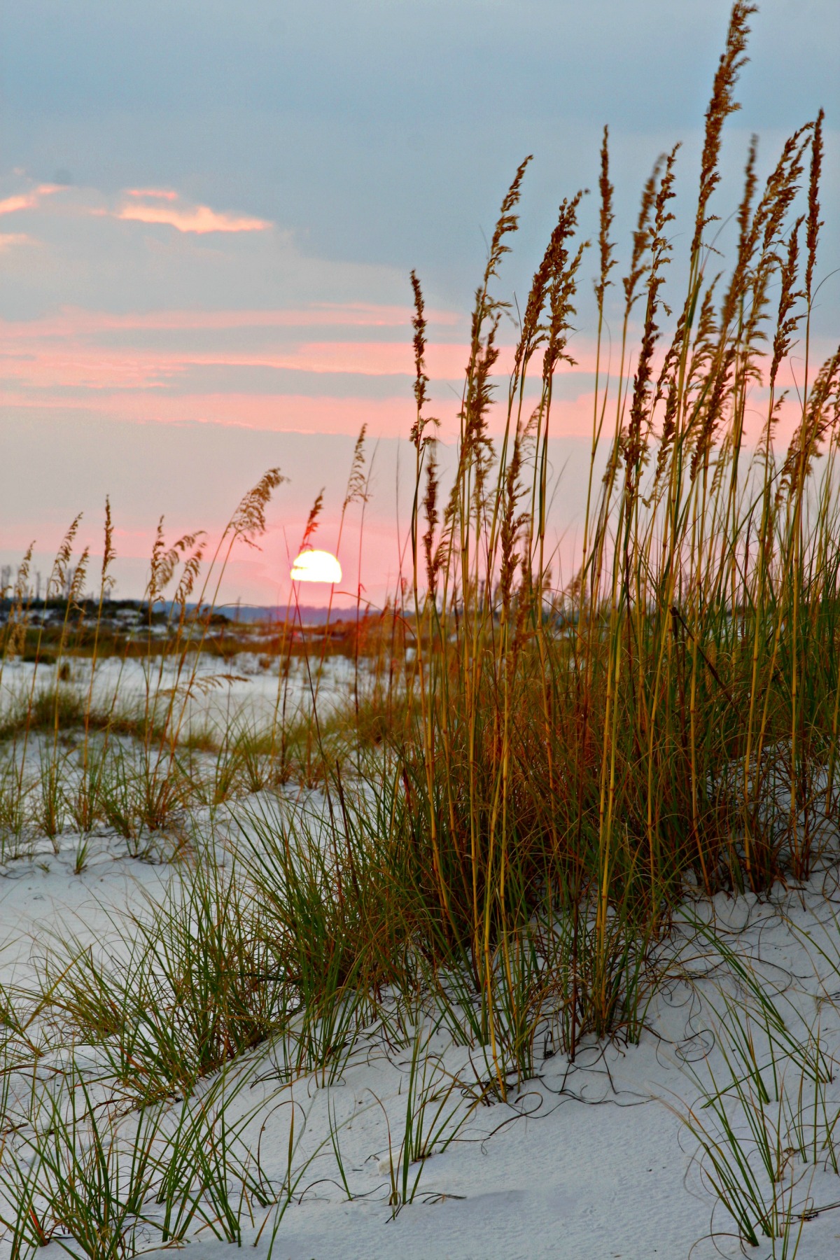 sunset over dunes and sea oats