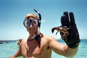 Crab found snorkeling by Destin jetties