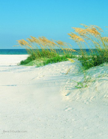 Sugar-white sand beach and sand dunes in Pensacola Beach, Florida