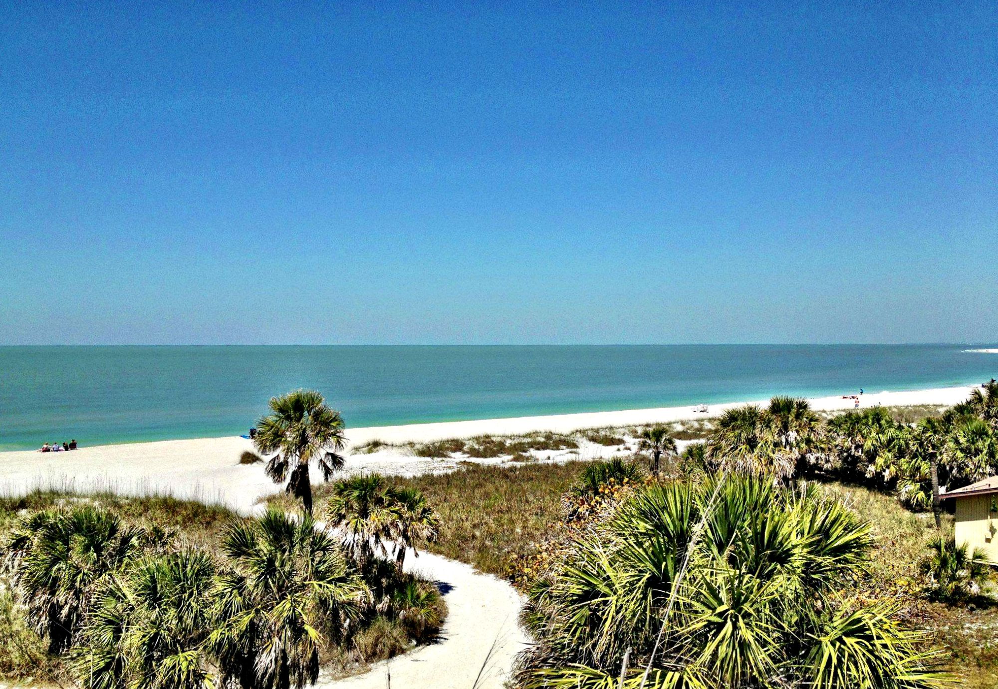 Gulf beach with white sand and palm trees at Fort De Soto State Park near Clearwater, Florida