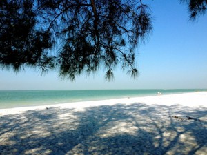 Pine-shaded spot on white-sand beach at Fort De Soto State Park near Clearwater, Florida. 