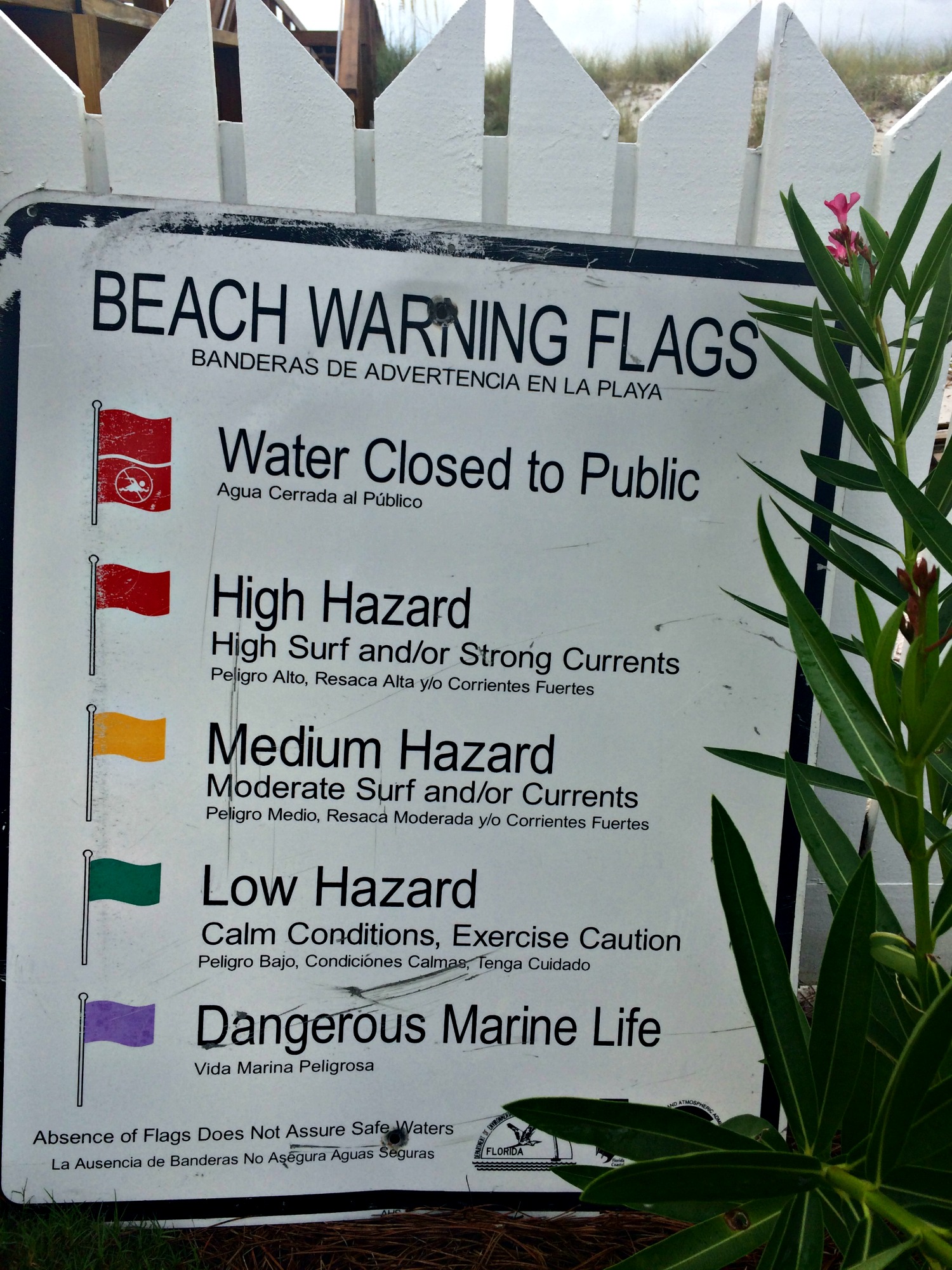 Sign showing meanings of the beach warning flags 