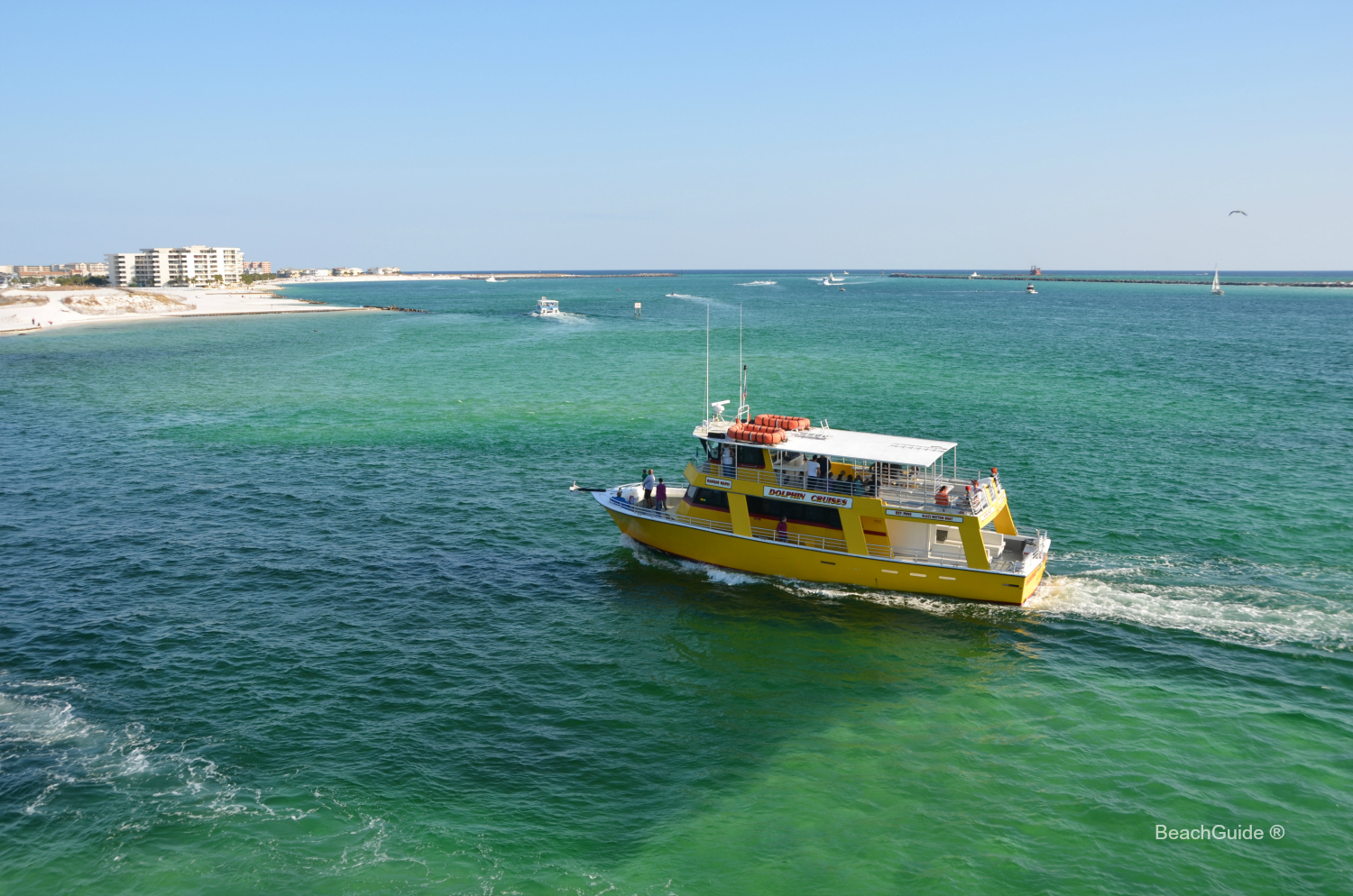 Boats of all sizes leave the Destin Harbor year round for dolphin tours in the Gulf, harbor and bay.