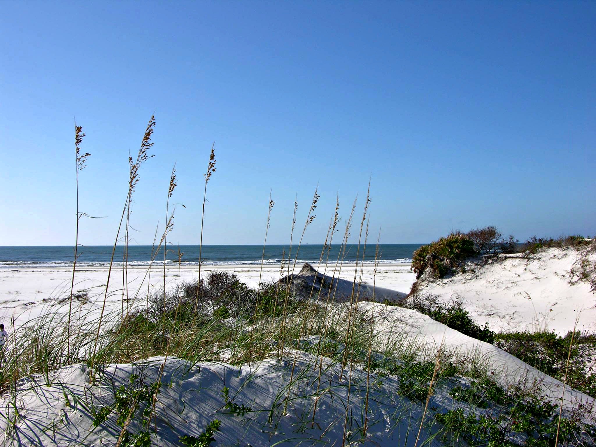 Sea oats and sand dunes at Bon Secour National Wildlife Refuge, one of ten easy day trips from Gulf Shores, AL
