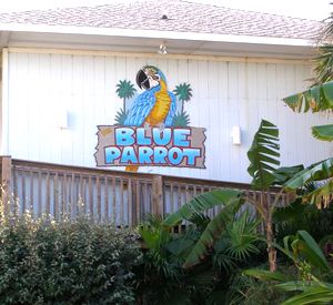 Blue Parrot Oceanfront Cafe in St. George Island Florida
