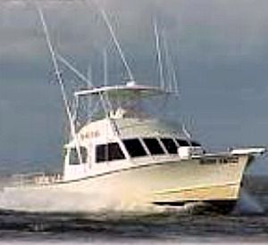 Boss Charters in Apalachicola Florida