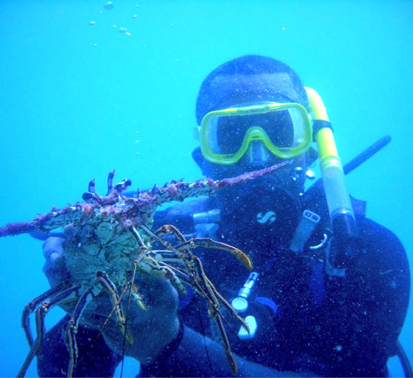 Dive Key West Inc. in Key West Florida
