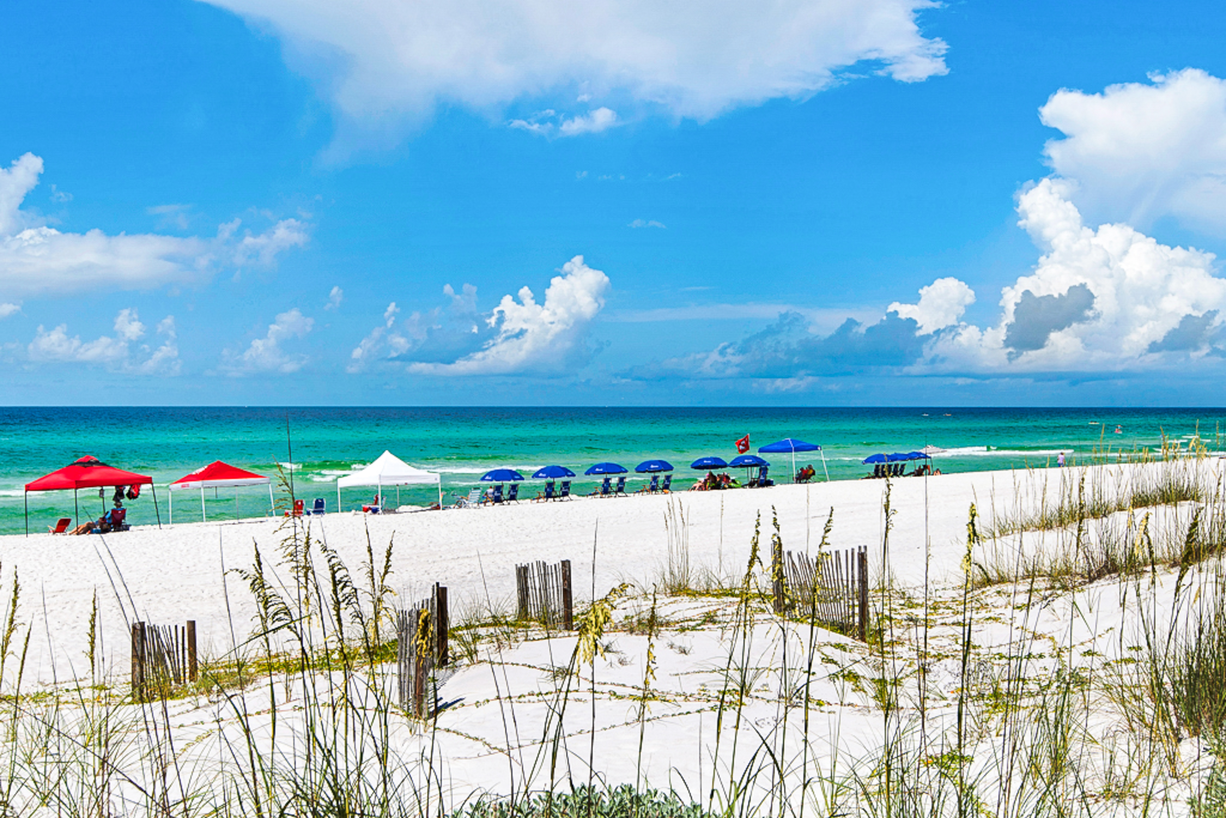 Dunes of Seagrove A206 Condo rental in Dunes of Seagrove in Highway 30-A Florida - #47
