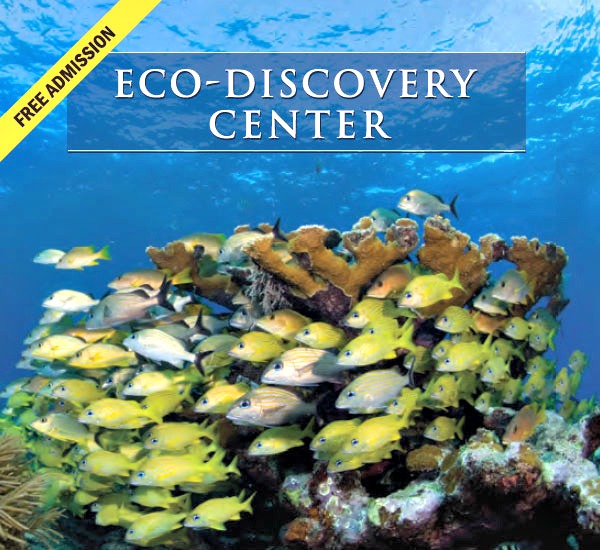 Eco-Discovery Center in Key West Florida