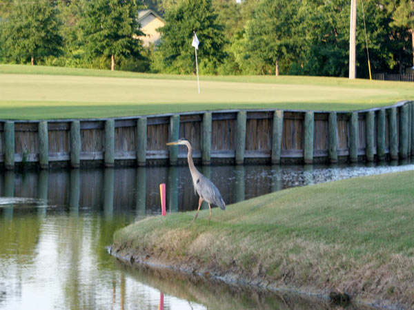 Gulf Shores Golf Club in Gulf Shores Alabama