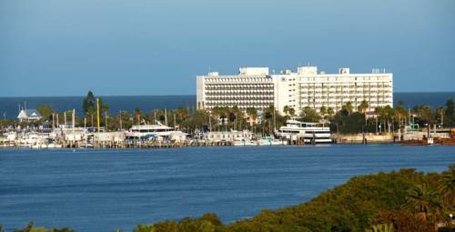 Hilton Clearwater Beach Resort & Spa in Clearwater Beach FL 28