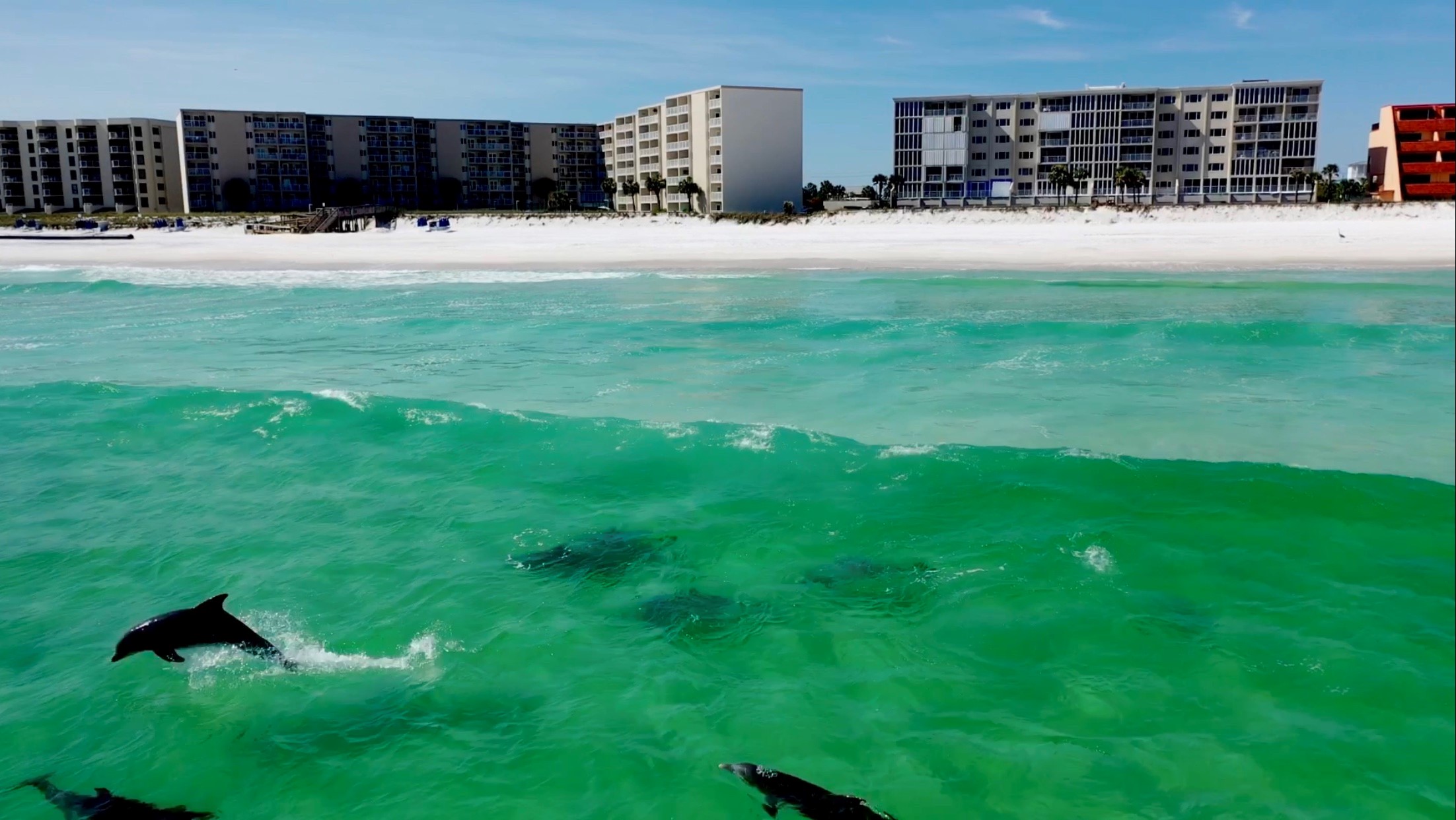 Holiday Surf and Racquet Club 403 Condo rental in Holiday Surf & Racquet Club in Destin Florida - #1