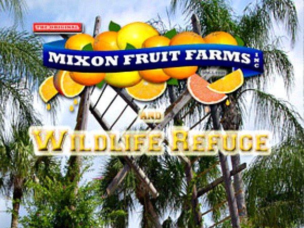Mixon Fruit Farms in Siesta Key Florida