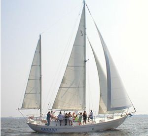 Sail the Daedalus  in Orange Beach Alabama