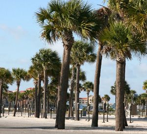 Sand Key Park in Clearwater Beach Florida