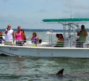 Shell Island And Dolphin Tours In Panama City Beach Florida