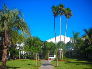 Beachcomber Beach Resort & Hotel in St. Pete Beach Florida