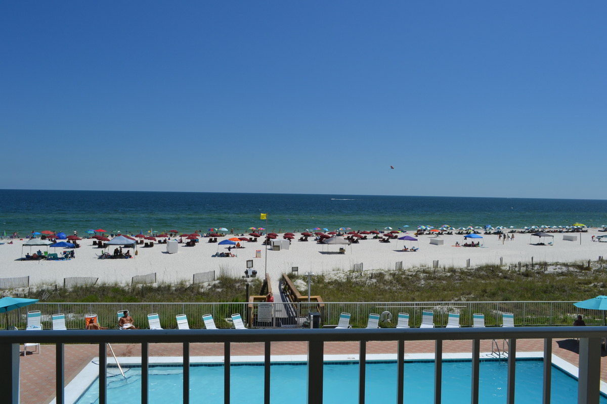 Sunswept 305 Condo rental in Sunswept Condominiums in Orange Beach Alabama - #13