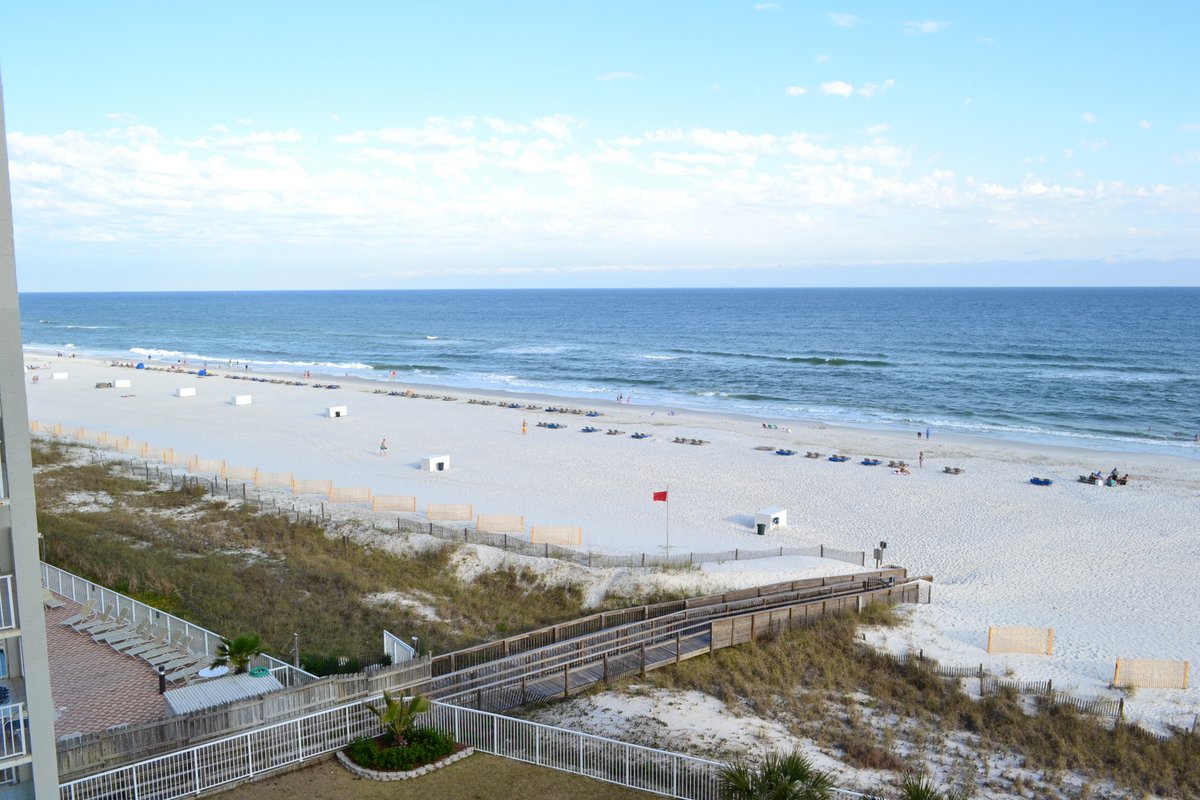 Sunswept 604 Condo rental in Sunswept Condominiums in Orange Beach Alabama - #16