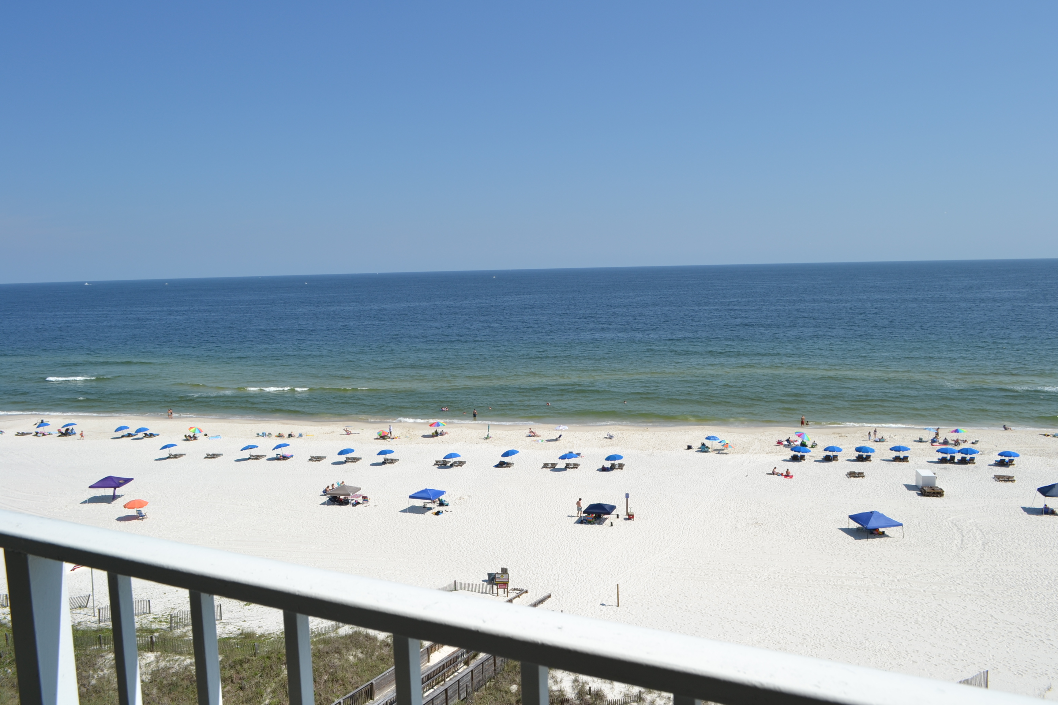 Sunswept 803 Condo rental in Sunswept Condominiums in Orange Beach Alabama - #23